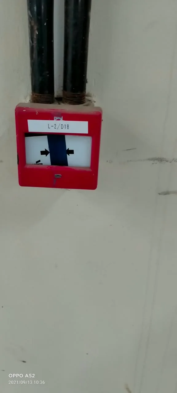 Wall-mounted fire alarm call point